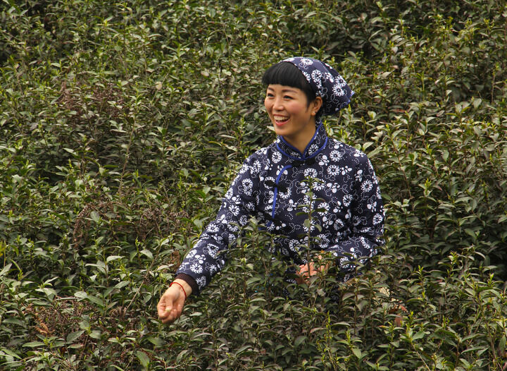 热门推荐5